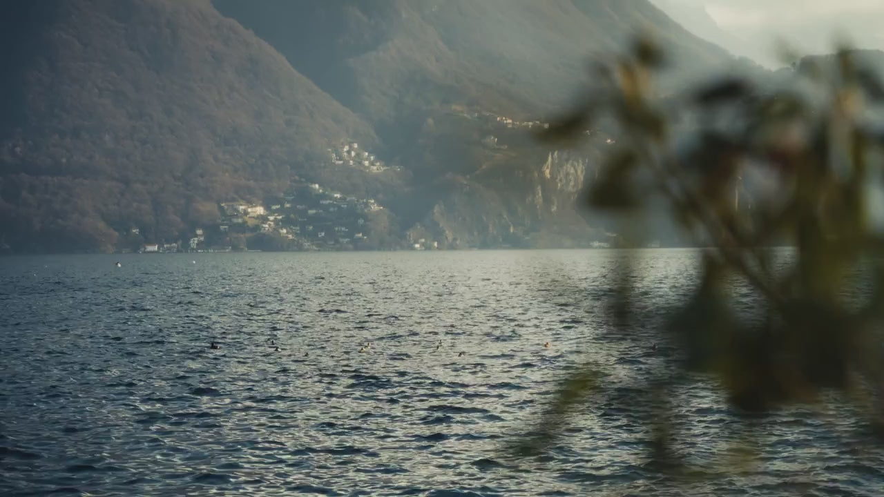Carica il video: 